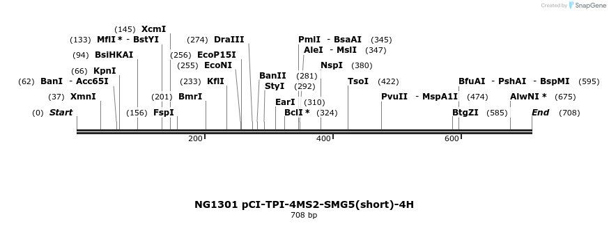 115306_map