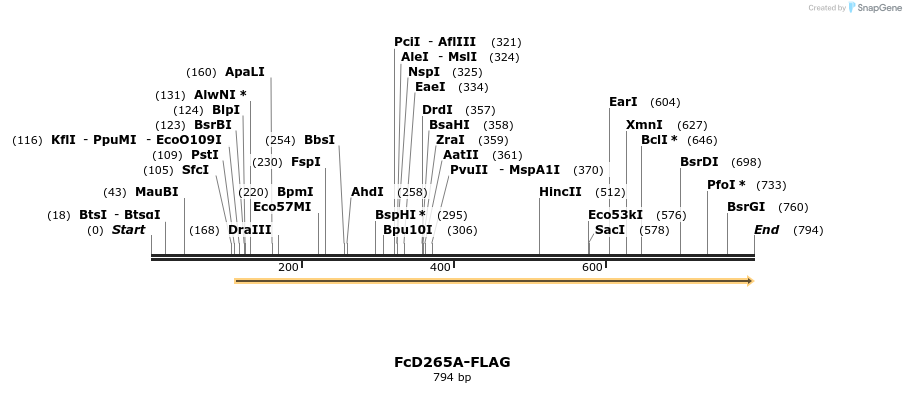 115308_map