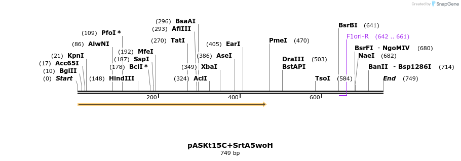 115309_map