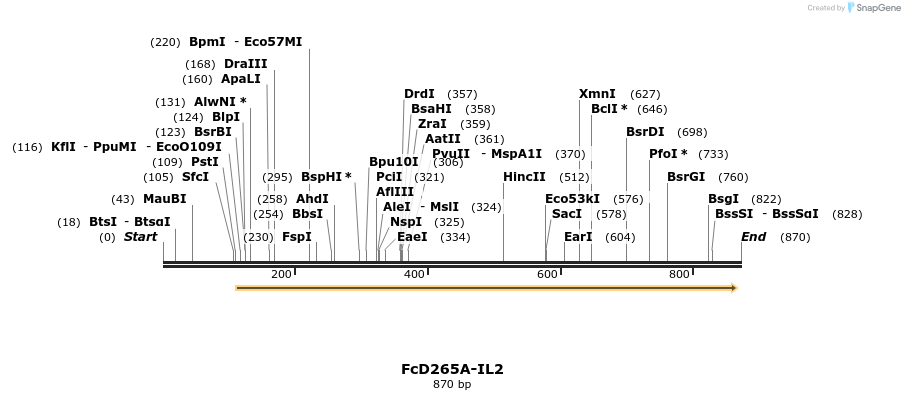 115313_map