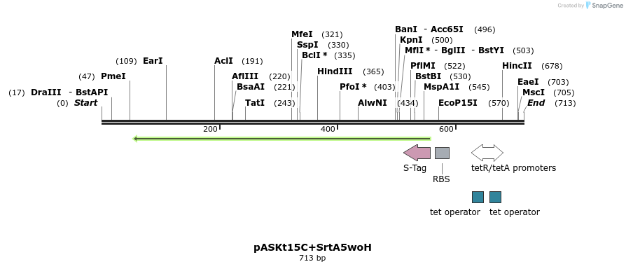 115316_map