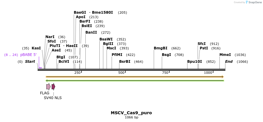 115326_map