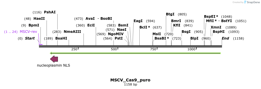 115327_map