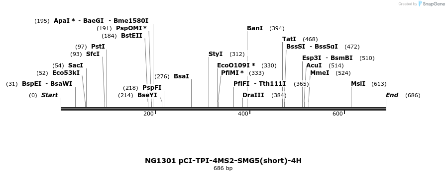 115332_map