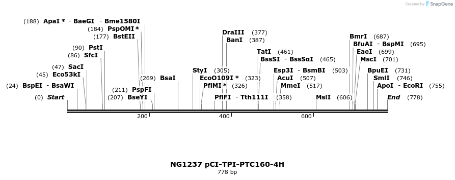 115333_map