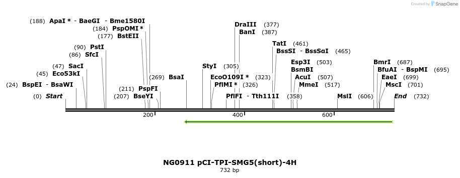 115334_map