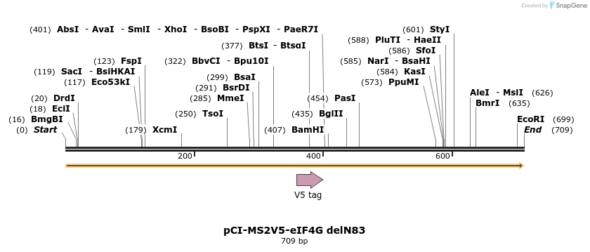 115337_map