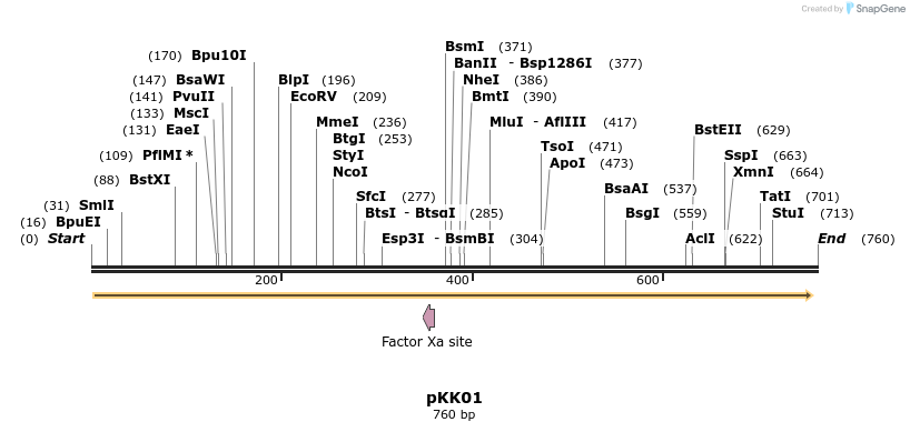 115339_map