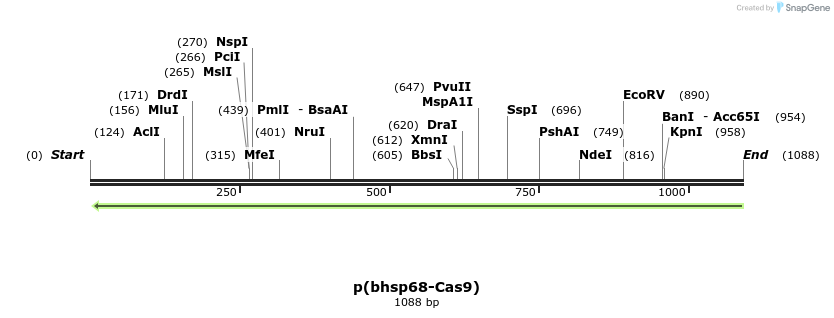 115345_map