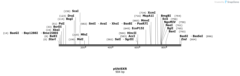 115355_map
