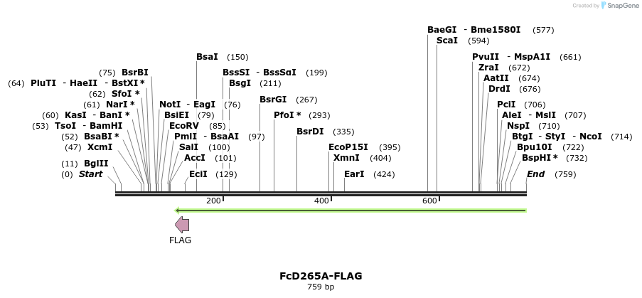 115356_map