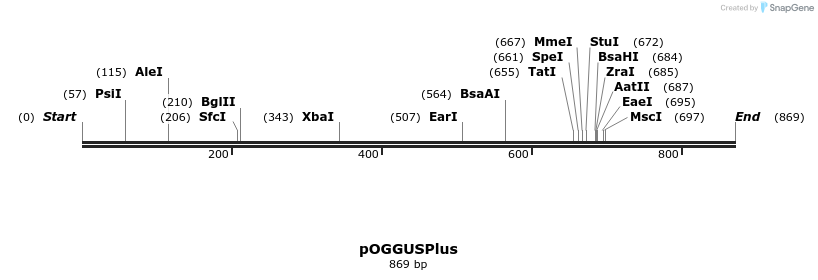 115358_map
