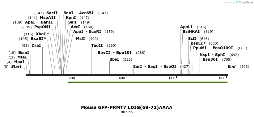 115359_map