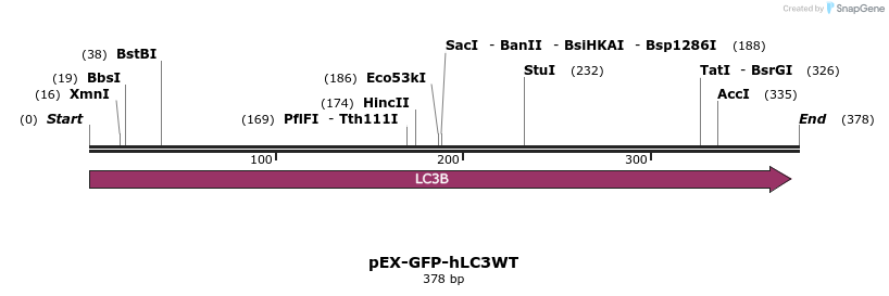 11536_map