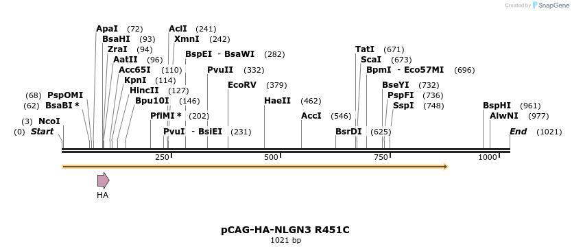 115379_map