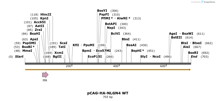 115381_map