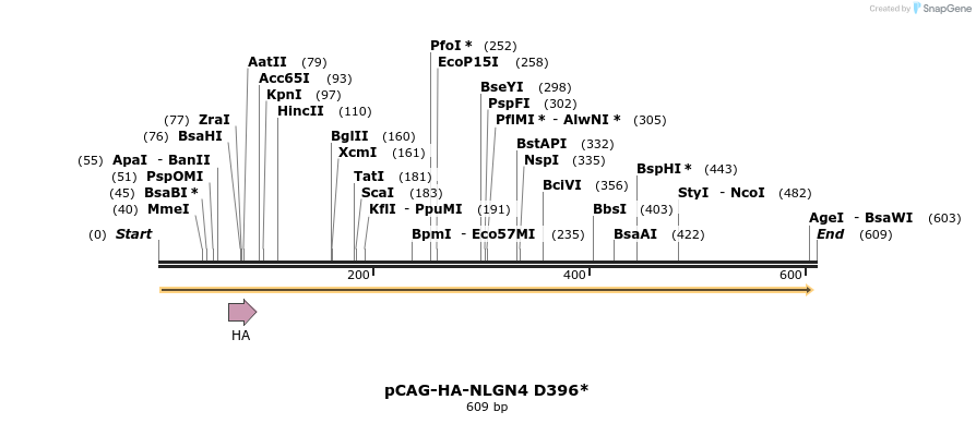 115384_map