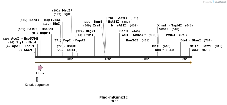 115386_map