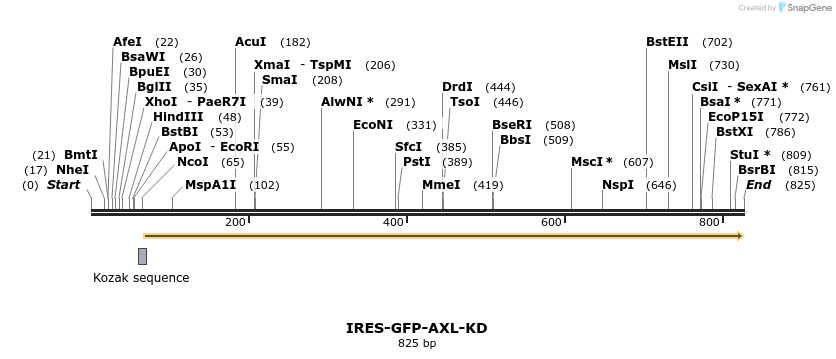 115388_map