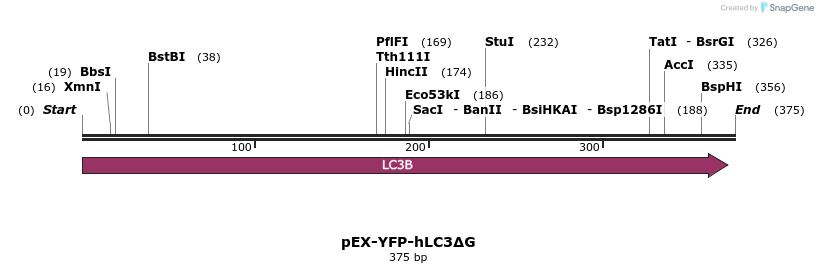 11539_map