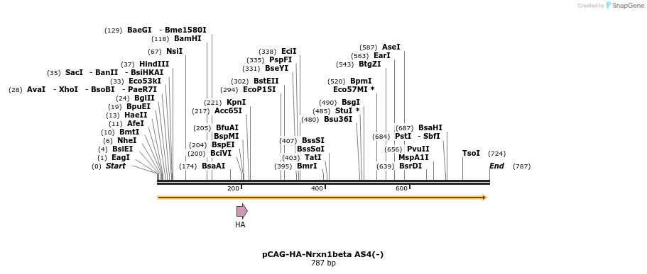 115390_map
