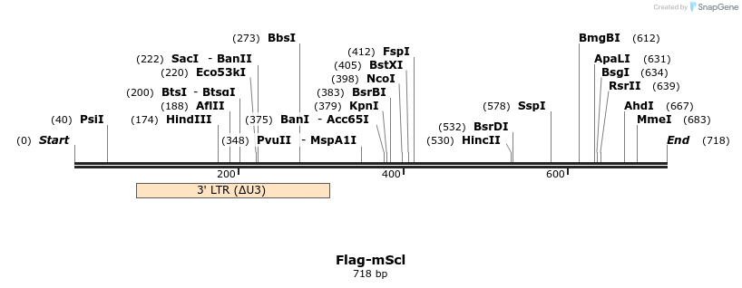 115397_map