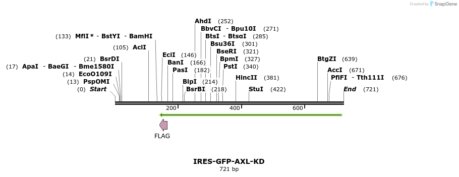 115403_map
