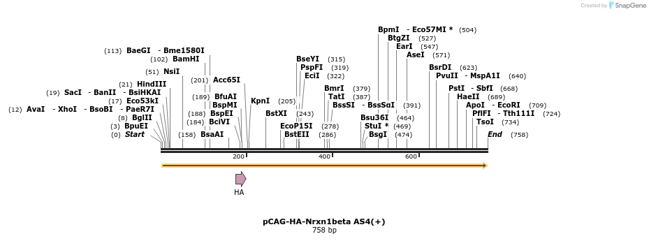 115405_map