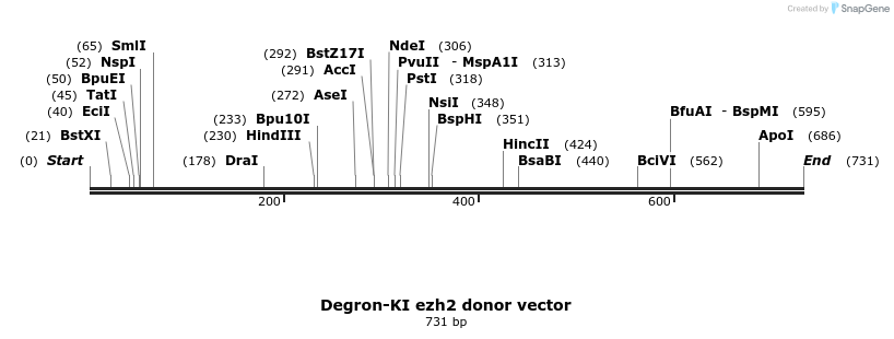 115407_map