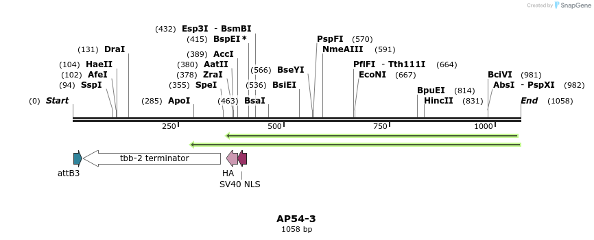 115424_map