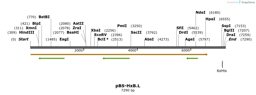115431_map
