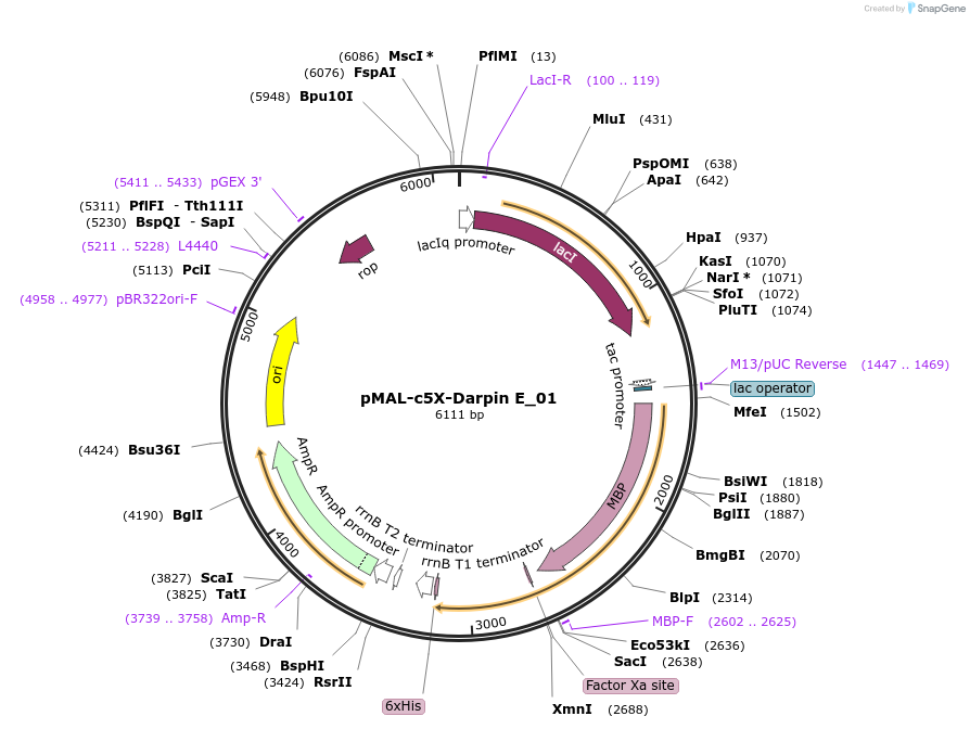 115437_map