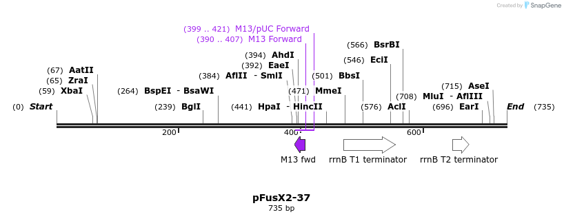 115481_map
