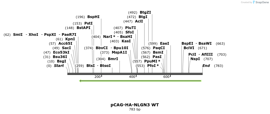 115496_map