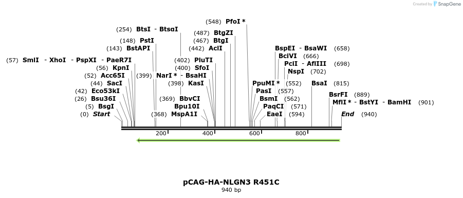 115501_map