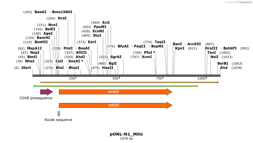 115505_map