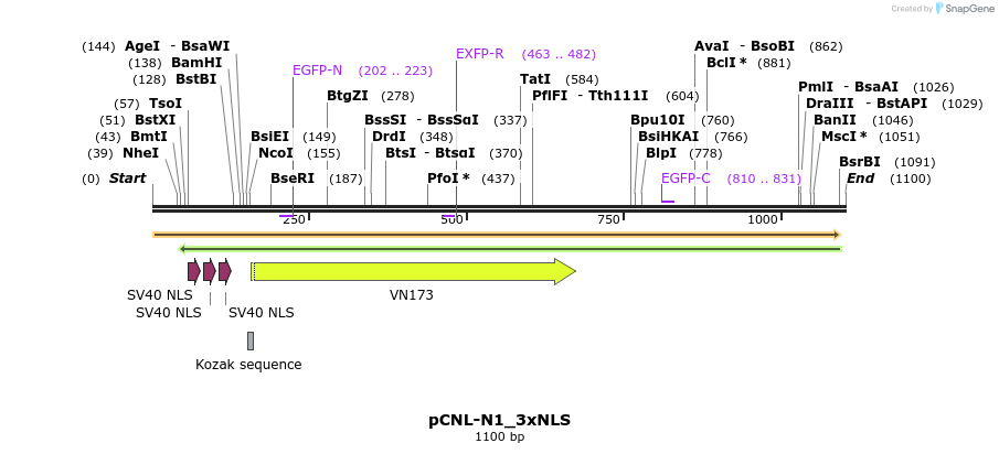 115513_map