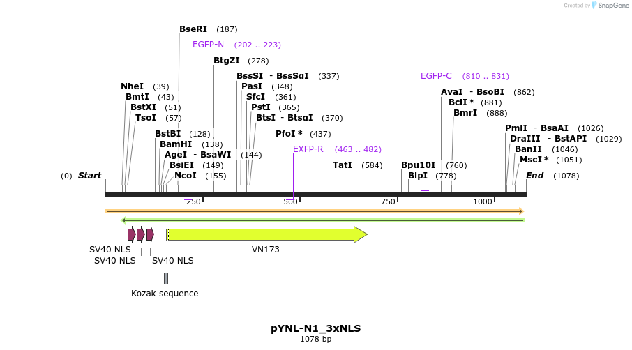115518_map