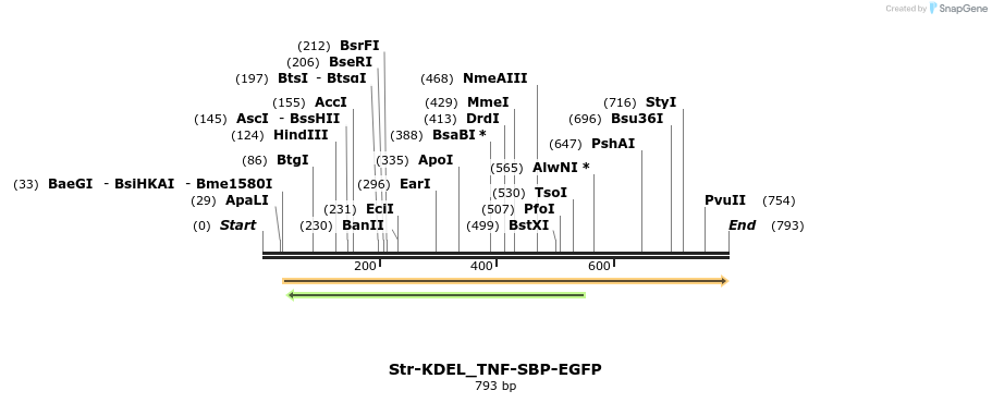 115524_map