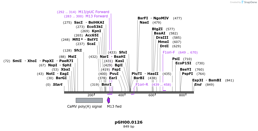 115531_map