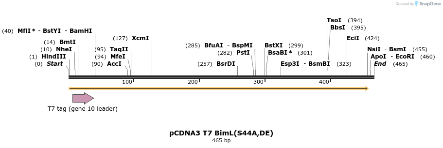 11554_map