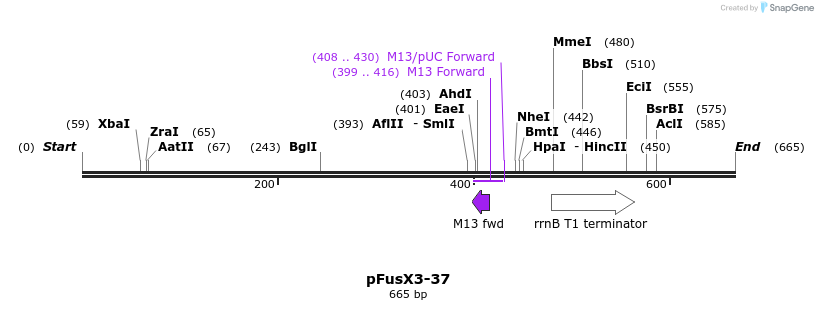 115540_map