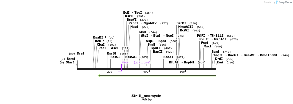 115546_map