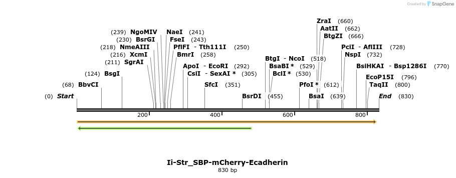 115555_map