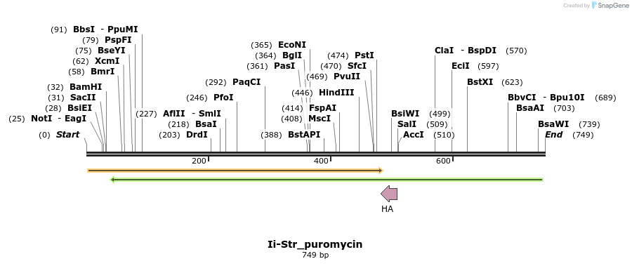115565_map