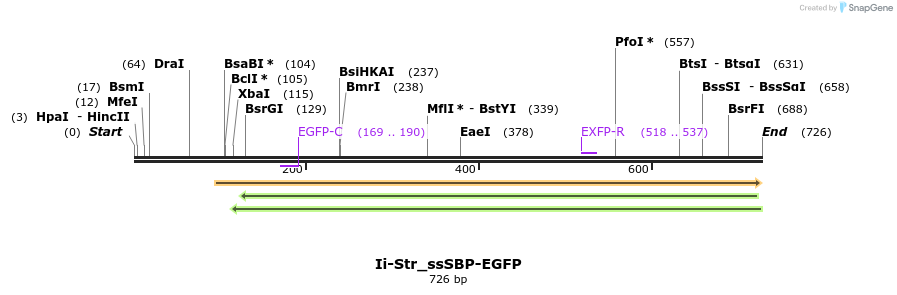 115572_map