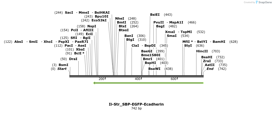 115577_map