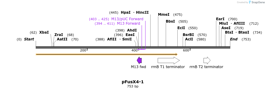 115578_map