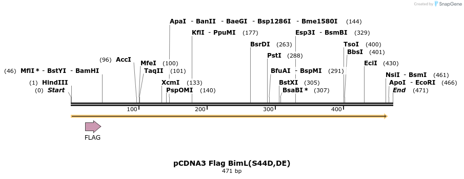 11558_map