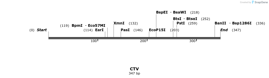 115585_map